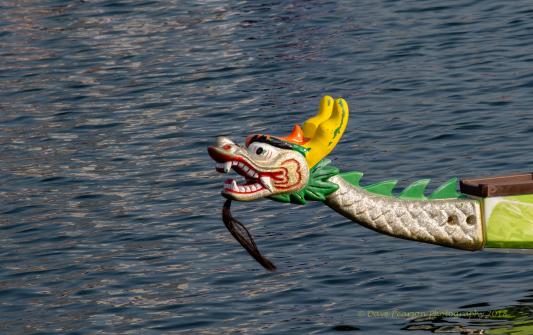 Milwaukee Milwaukee Dragon Boat Festival 2026